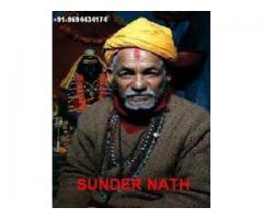 World Famous Astrologer +91 9694434174