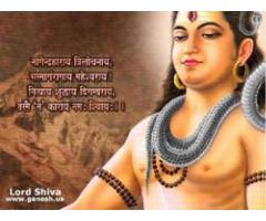 love PRoblem solution baba ji in uk 91-9680636288 ...