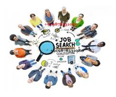 Jobs,Bussiness Problem Solution Baba Ji +919878531080