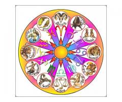 Want good Hand / Horoscope Predictions?