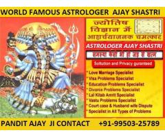 Black magic and many Vaastu Specialist Baba Ji +91-9950325789