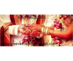 all @husband love @wife problem@ solution +91-9799162905