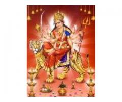 JAI ++ HO @loVE baCK spECIaliSt BABA JI +91-9529820007