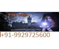 ((black magic vashikaran+91-9929725600)) specialist baba ji