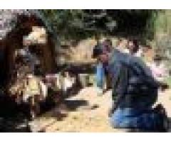 WORLDS  NO 1 ASTROLOGY SPIRITUAL TRADITIONAL HEALER | LONG DISTANCE HEALING