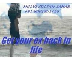 vashikaran to get ex love back +919001901759