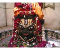 Black magic specialist baba ji+91-9950325789  in usauk