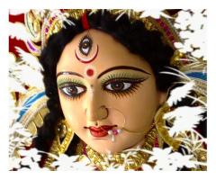 +919878377317 best astrologer tantrik in world pt. vishawnath ji