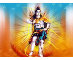 Online Vashikaran Expert Guruji In India (+91)8290227355