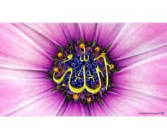 tantra mantra black magic specialist baba ji +91-9950385710