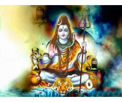 Best astrologer Parkash acharya shastri ji