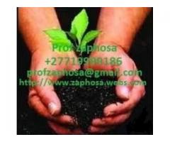 MUTUBA SEED PENIS ENLARGEMENT PRODUCT WHATSAPP/CALL +27719999186 PROF ZAPHOSA