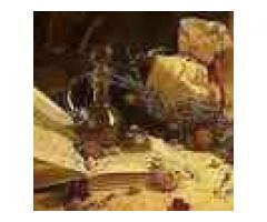 Magic Love Spells by the Native Spell Healer +2773 869 1284