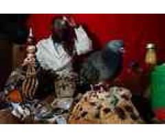 Native strong lost love spell caster +2773 869 1284