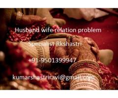 husband wife relation +91-9501399947 problem solution astrologer in chandigarh
