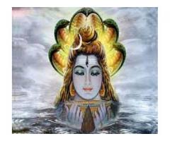 All Problem Solution In Your Life Call Now +91-7240699158