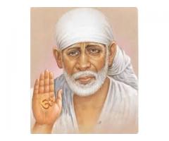 Free Black magic specialist baba ji+91-8769275328