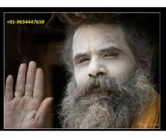 Love Horoscopes Specialist +91-9911764305