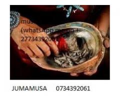 No1 best attraction and marriage spell expert Dr jumamusa