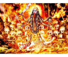 all problem solution 100 guaranteed results     L91-07878081407