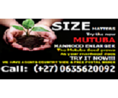 I SELL MUTUBA SEED FOR PENIS ENLARGEMENT WHATSAPP/CALL +27635620092 PROF KIISA