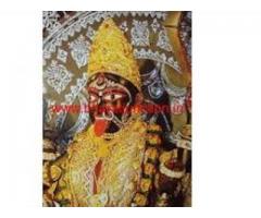 POWERFUL SPELL$$ CASTER ASTROLOGY BLACK MAGIC WHATS   +91-9772071434  . ragunat