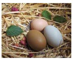 MASSACHUSETTS, BOSTON +27784002267 GET BACK LOST LOVER TRADITIONAL LOVE SPELL CASTER