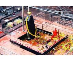 black magic for love Specialist Baba Ji+91-9950325789