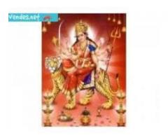 No.1~Love Guru Vashikaran Specialist baba ji 91-9529820007