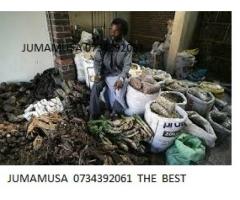 the greatest traditional spiritual herbalist healer jumamusa cal +27734392061
