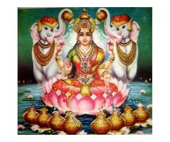 ($)($) job problem solution pt Raman sharma in india