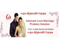 Husband Wife Problem SOlution +91-8560877299