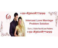 All Problem Solution In Your Life Call Now +91-8560877299