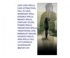 LOST LOVE,BINDING,MARRIAGE AND DIVORCE SPELLS +27712654614