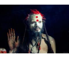 All Problem Solution By Aghori Babaji +91-9799137206