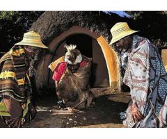 Mama Aisha powerful African Traditional herbalists and native healer +27632369865