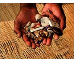 Experienced African herbalist in Sandton/ Harale/ Lusaka/ Gaborone  +27837595601