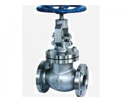 GLOBE VALVES IN KOLKATA