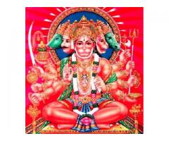 Best Astrologer vashikaran specialist baba bangali+97568970077