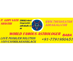 love husband wife problem solution babaji adviser +91-7791980451