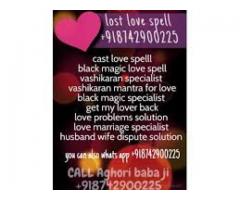 Control Your Husband Or Wife By Indian Black Magic  +91-8742900225 in dubai,singapore