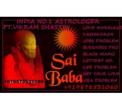 Famous Astrologer +919878531080 in delhi,jalandhar,amritsar,shimla,jaipur
