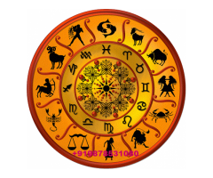 Famous Astrologer +919878531080 in Punjab,delhi,jalandhar,amritsar,shimla,jaipur