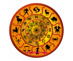 India  No.1 Gold Medlist Astrologer +919878531080