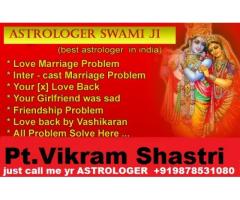 India  No.1 Gold Medlist Astrologer +919878531080 in india,usa,uk,canada,italy,germany