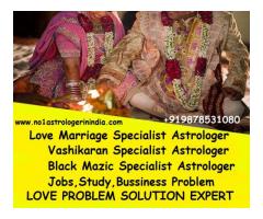 love marriage specialist pt. vikram shastri +919878531080