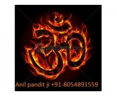 wife MArrige solution Anil PAndit ji +91-8054891559