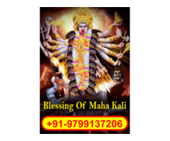 Back Magic Specialist astrologer In 24 Hours In Australia((canada)))+91-9799137206