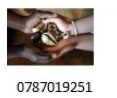 Top African healer and spellcaster call +27787019251
